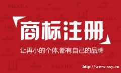 惠州商务服务 新视野同城助力本地高效商务代办新体验